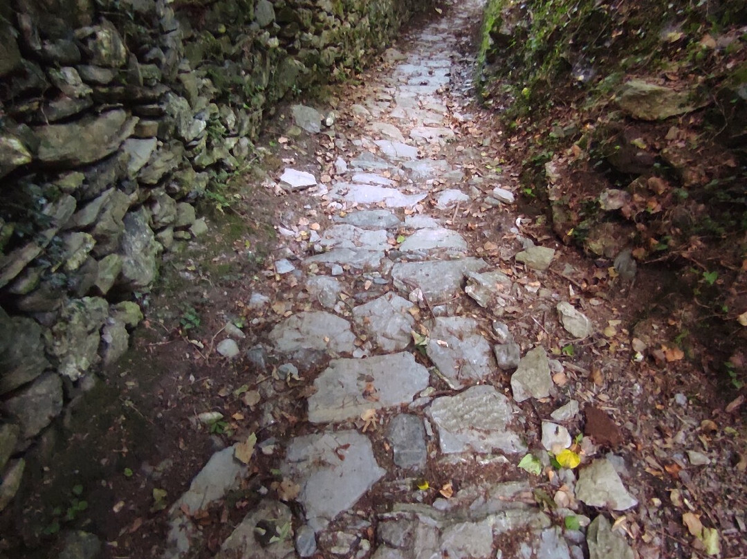 Castello di Borgo Fornari-Ronco Scrivia必去景点