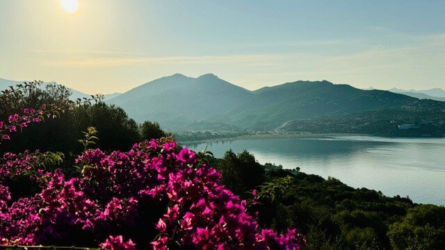 Villa Vetricella Corse Sud主图