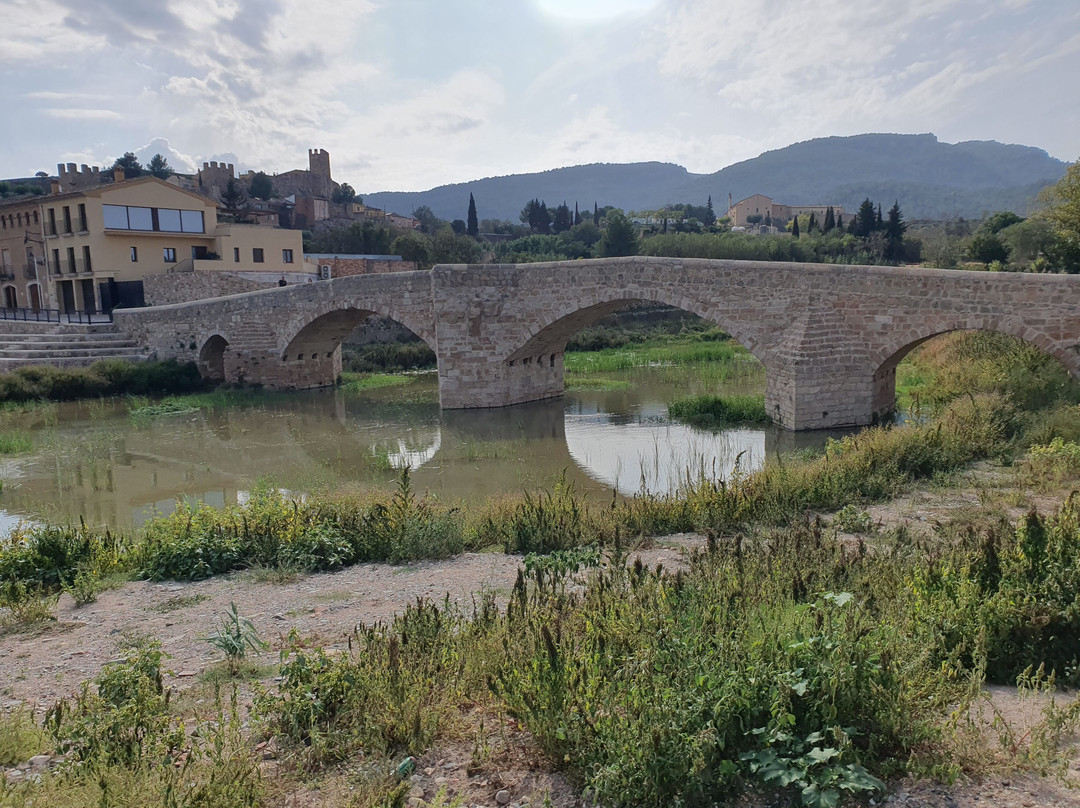 Pont Vell景点图片