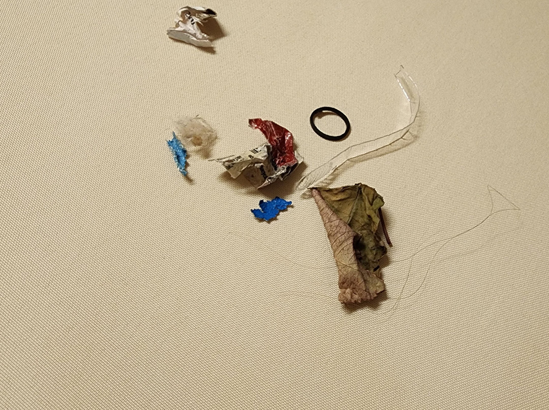 Meadowbrook Inn主图