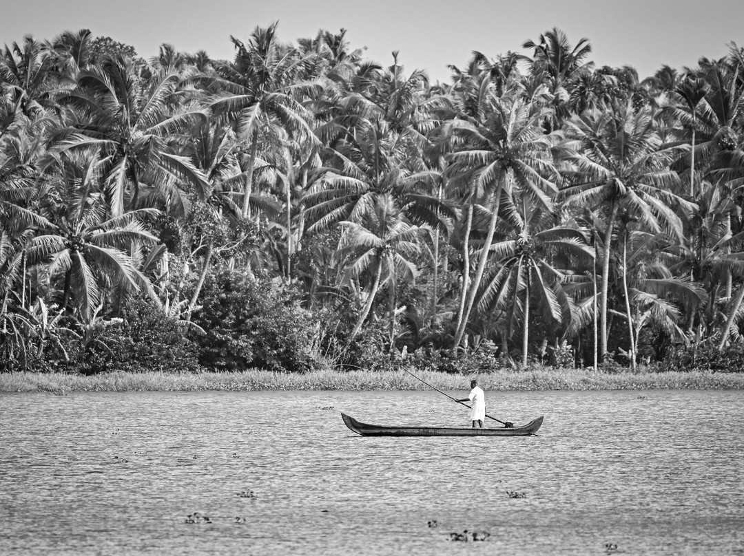 Pathiramanal Villas主图