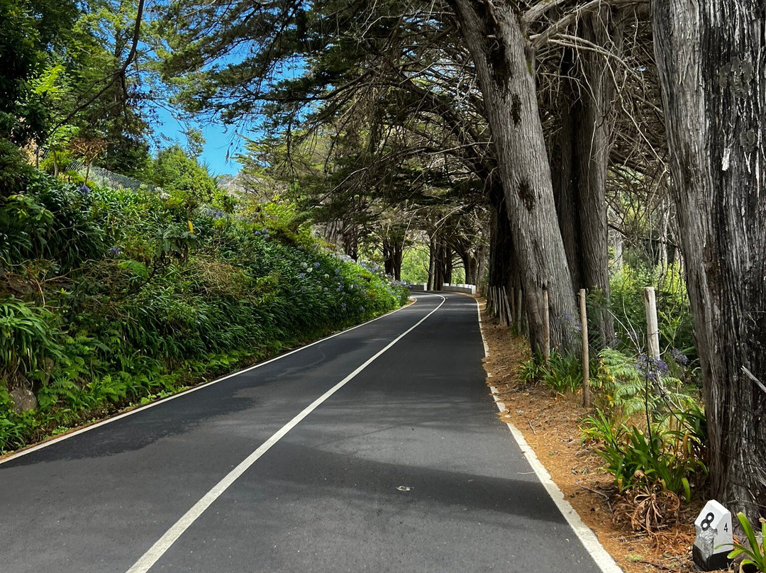 E-Bike Madeira-沙尔必去景点