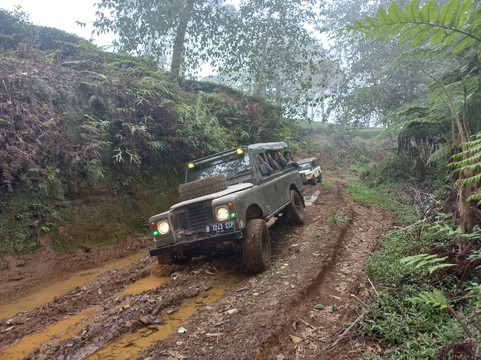 Danendra Tour And Travel