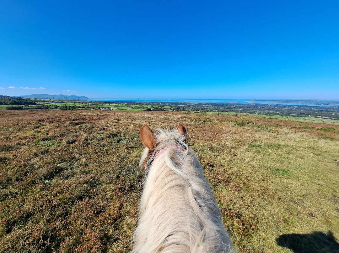 Snowdonia Riding Stables景点图片