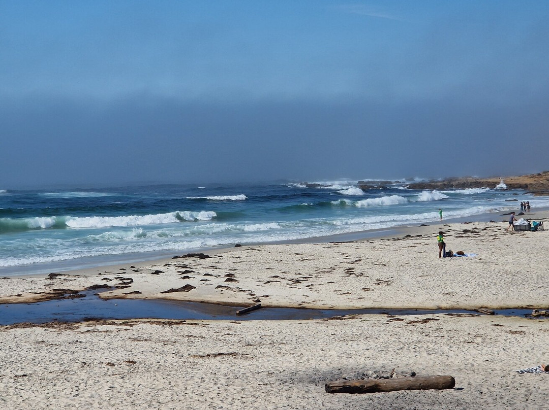 Pacific Gardens Inn主图