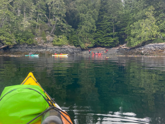karibu adventures - Wild Sublime North Vancouver Island-哈迪港必去景点