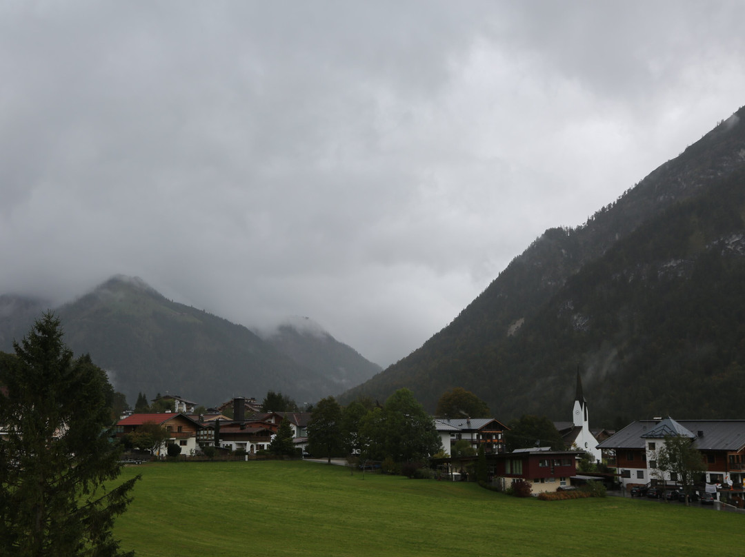 Hotel Der Wiesenhof主图