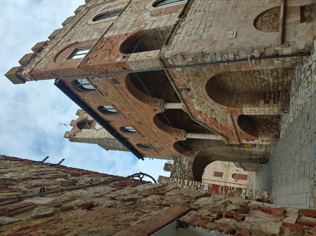 Rocca Aldobrandesca景点图片
