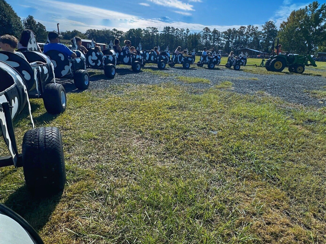 Amazing Grace Family Farms-Green Cove Springs必去景点