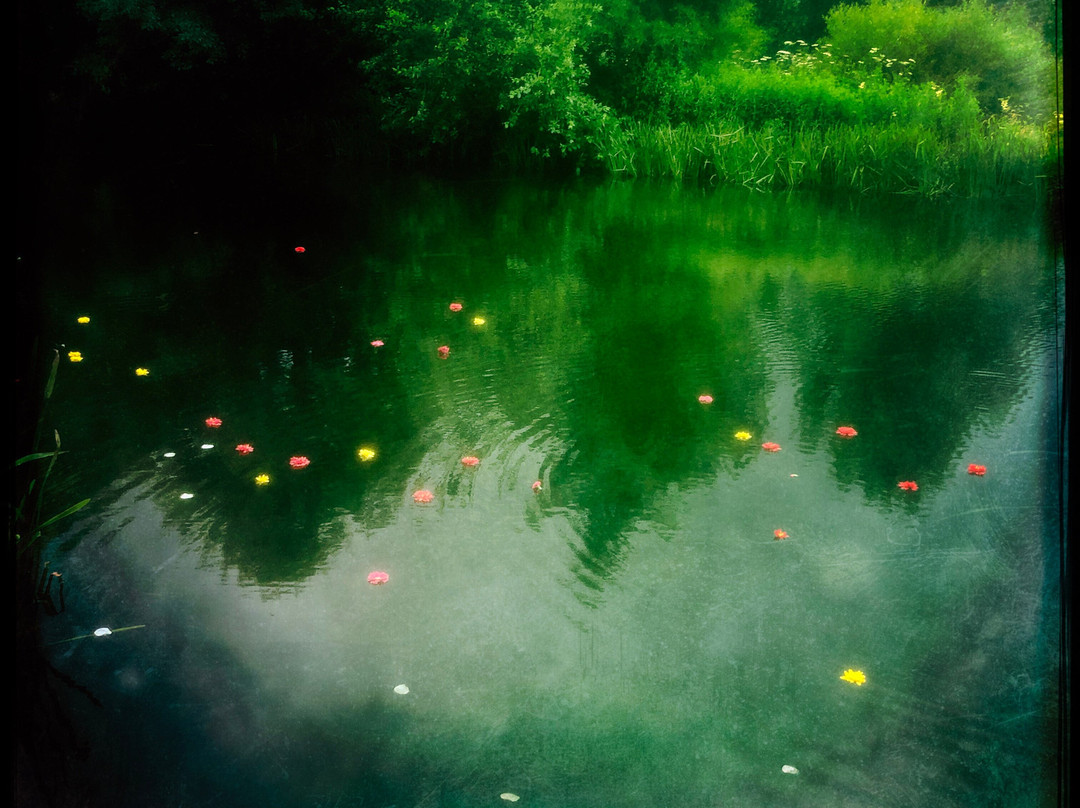 The Natural Health Sanctuary景点图片