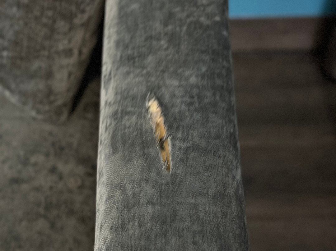 Best Western Carlton Suites主图