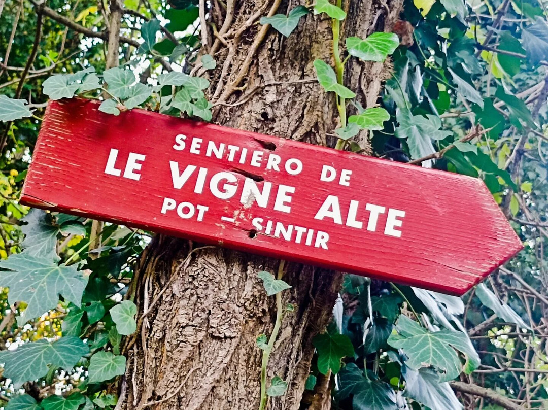 Sentiero delle Vigne alte景点图片
