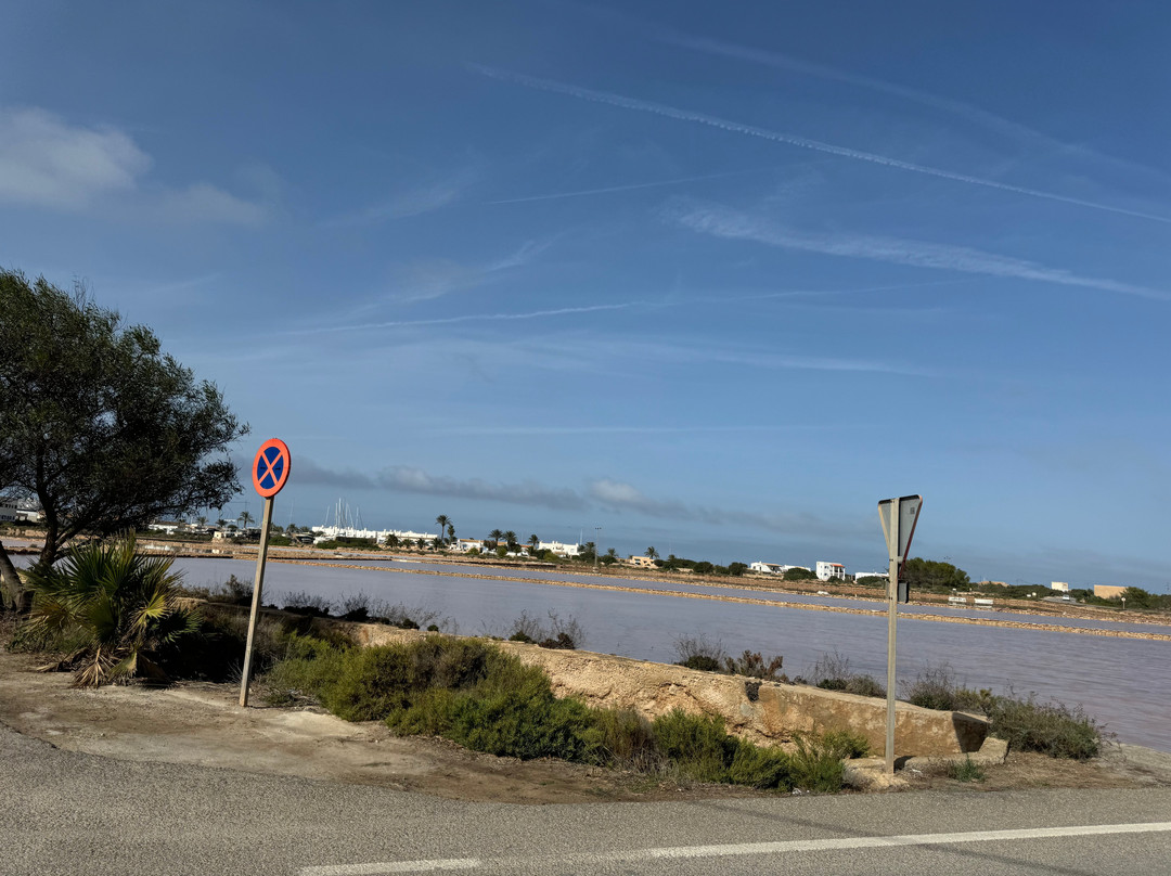 Parc Natural De Ses Salines-福门特拉岛必去景点