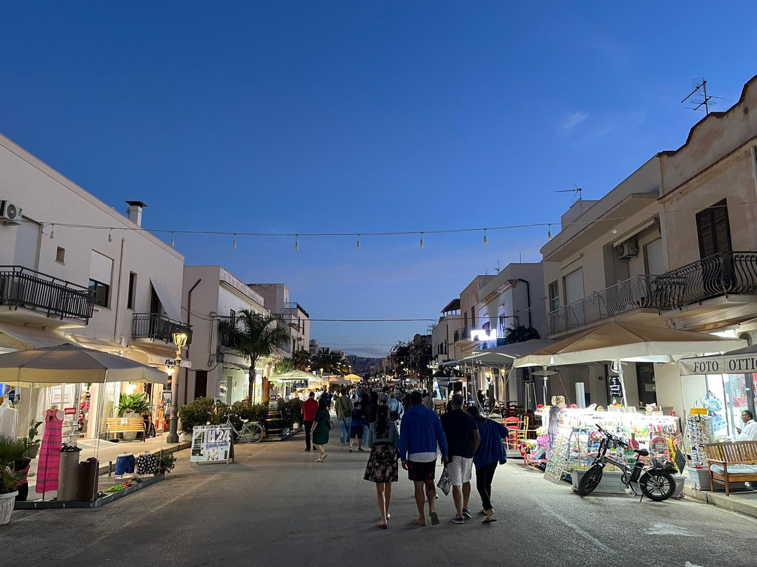 Le Margherite