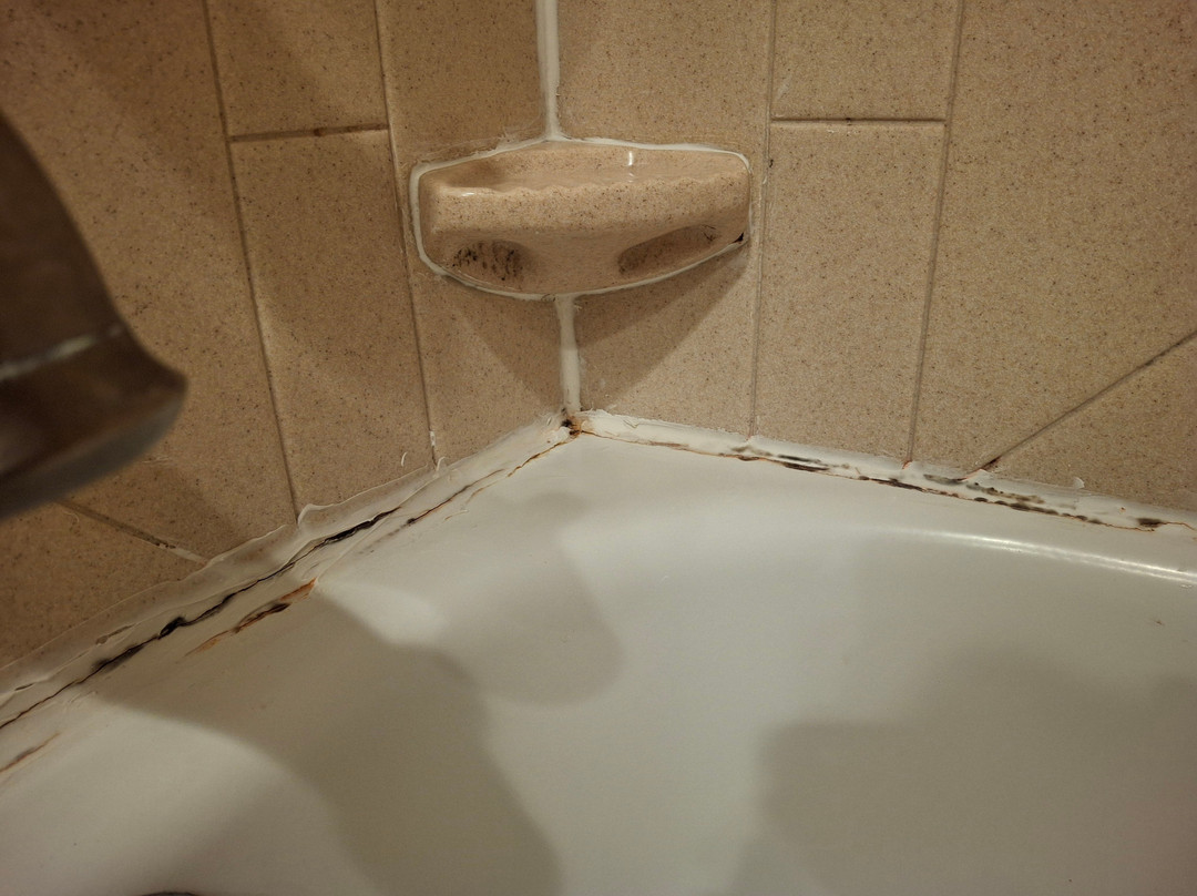 富兰克林希尔顿恒庭酒店主图