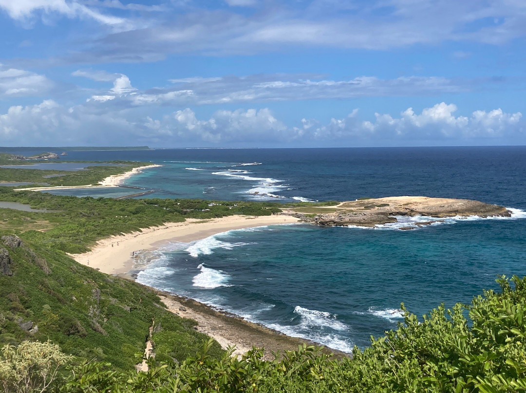 Plage Grande Anse Des Salines