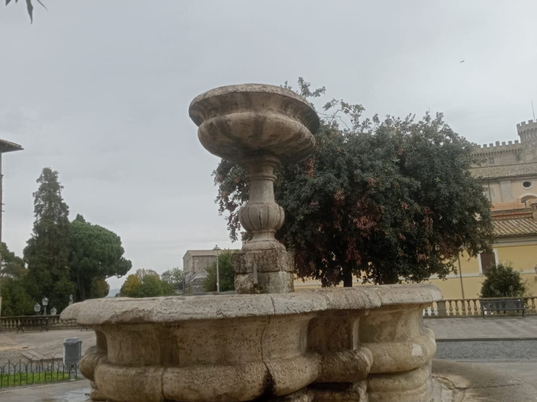 Fontana In Piazza Iv Novembre景点图片