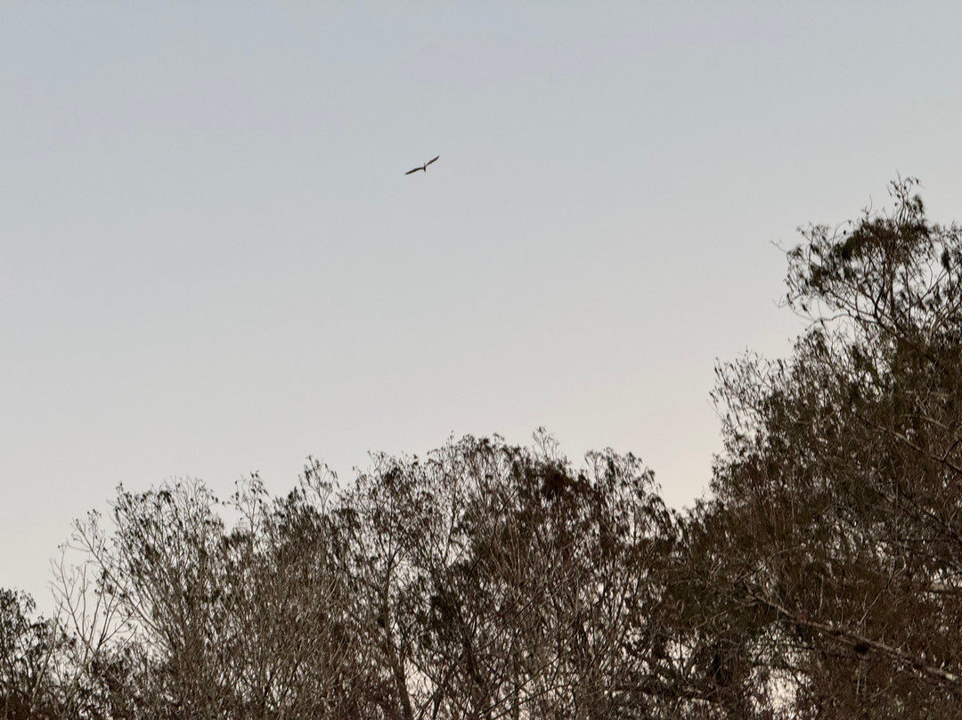 Everglades Adventure Tours-奥乔皮必去景点