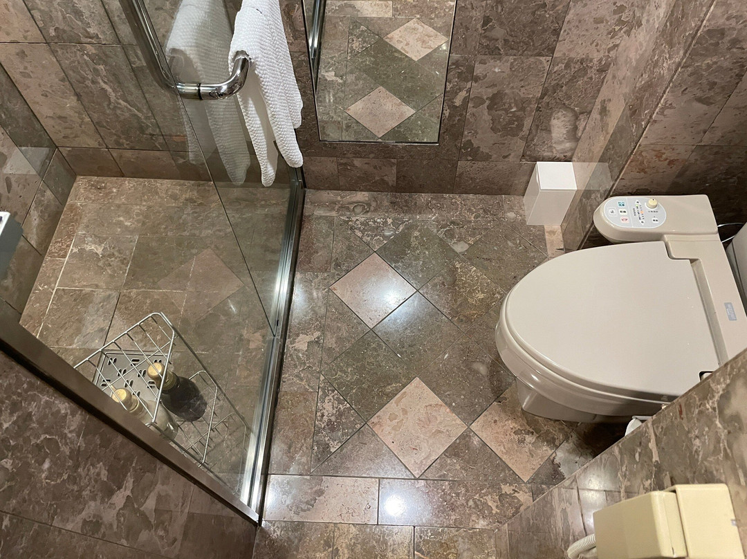 Kurashiki Royal Art Hotel主图