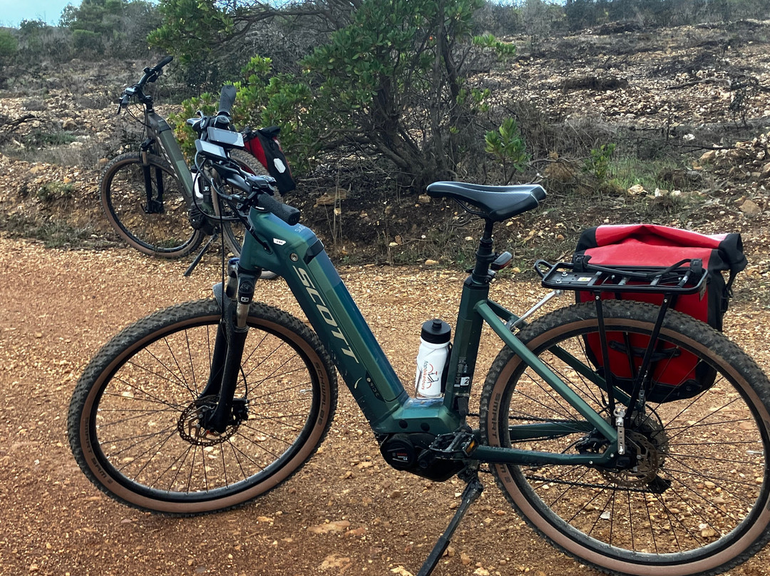 Top Bike Tours Portugal景点图片