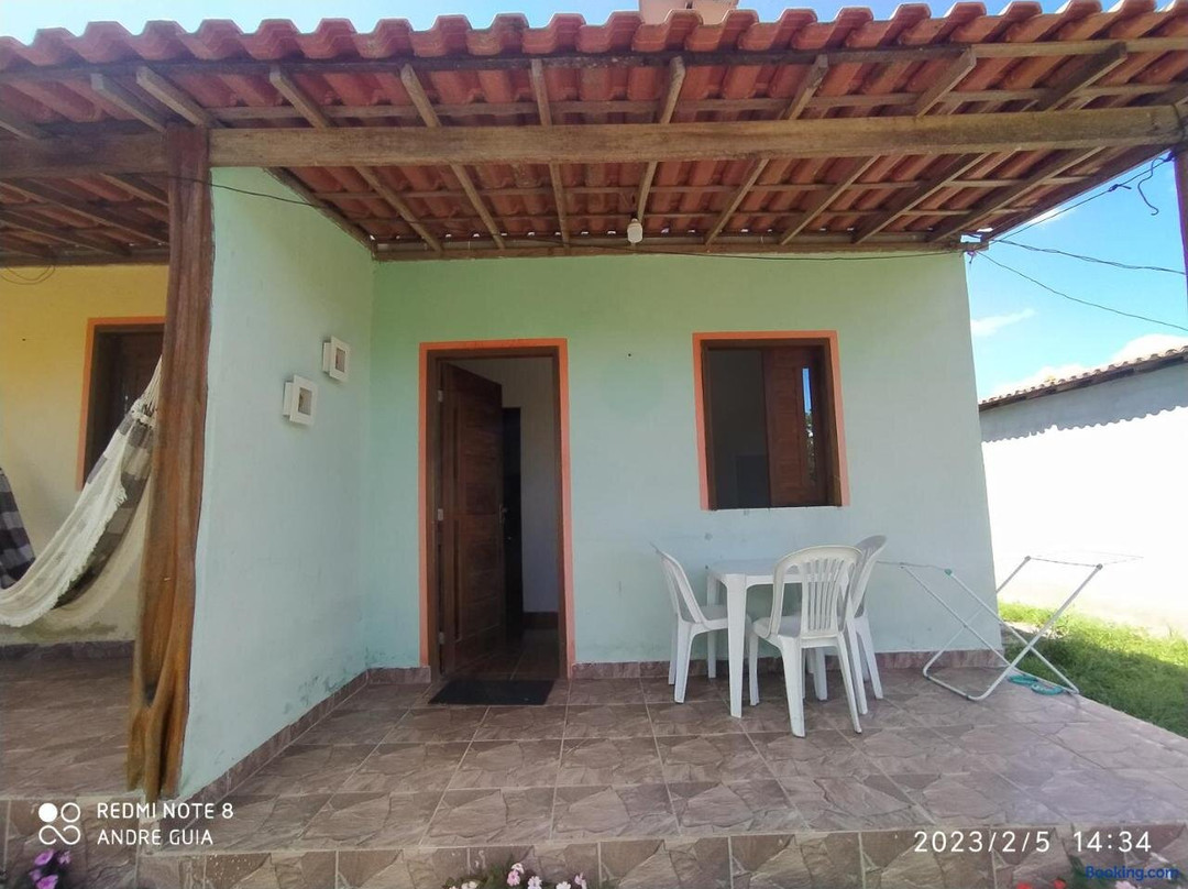 Encontro Dos Passaros