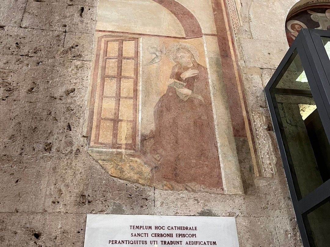 Cattedrale di San Cerbone景点图片