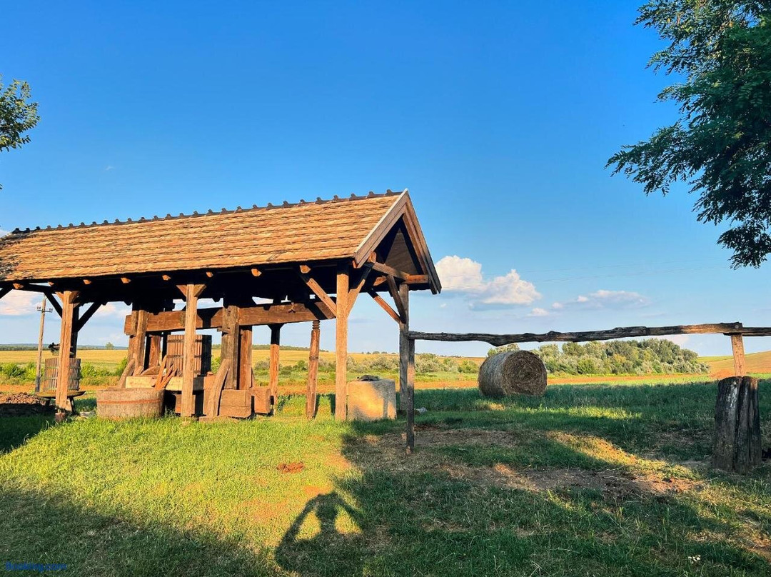 Buzal-Morocza Winery