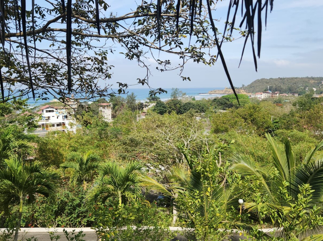 Nativa Bambu Ecolodge主图