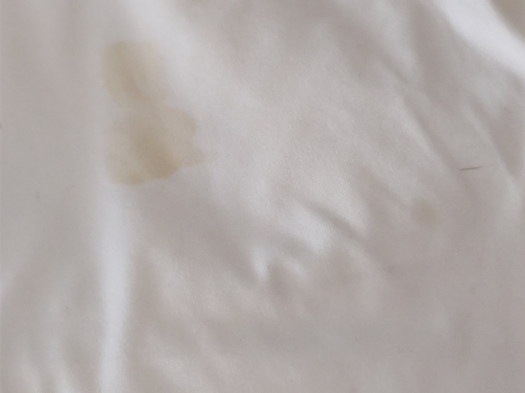 Hampton Inn Lumberton主图