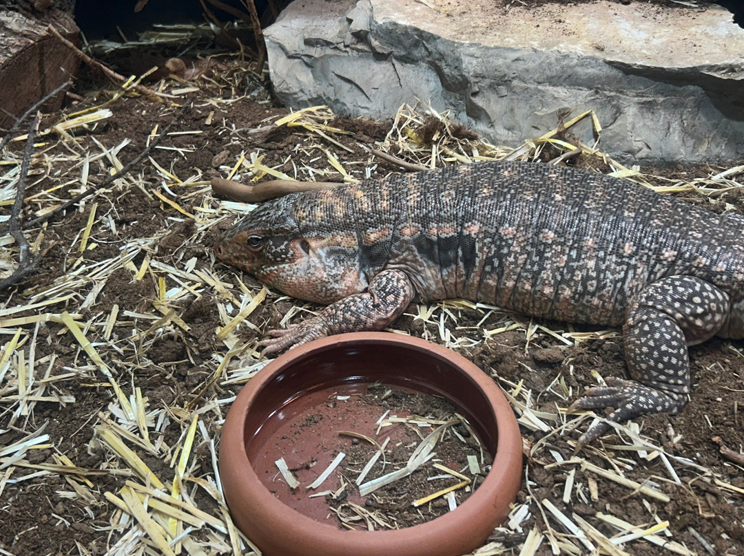 Tropicarium Park景点图片