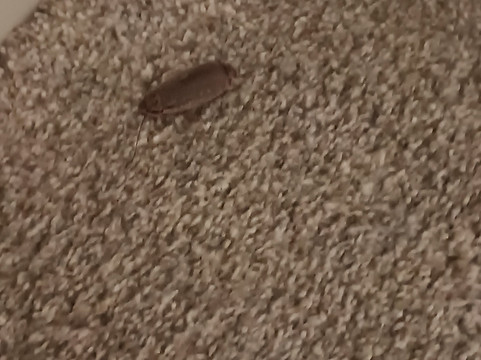 库西欧悦酒店主图