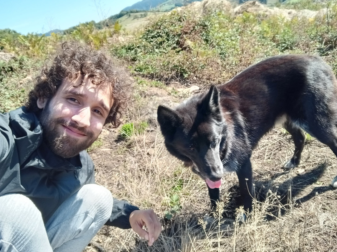 Hridaya Yoga France景点图片