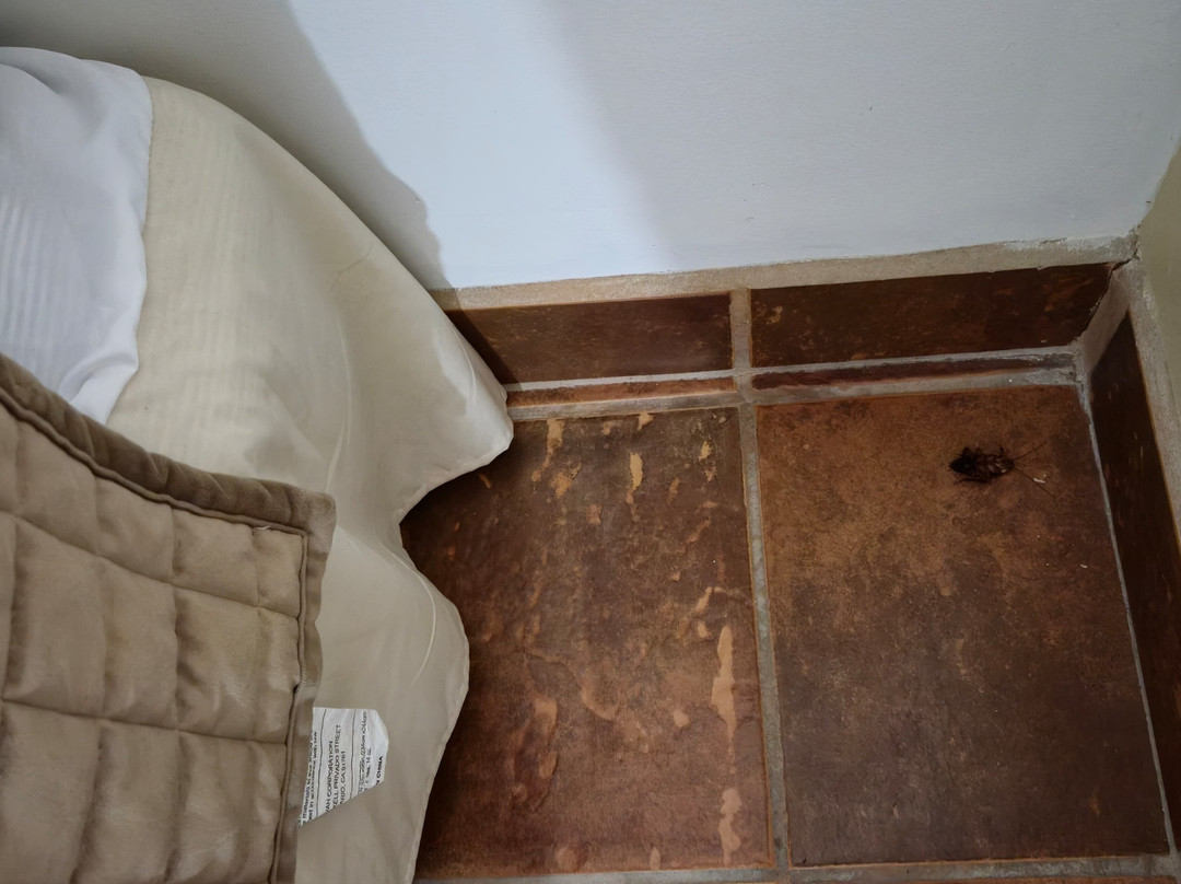 Costa del Sol Hotel & Sportfishing主图