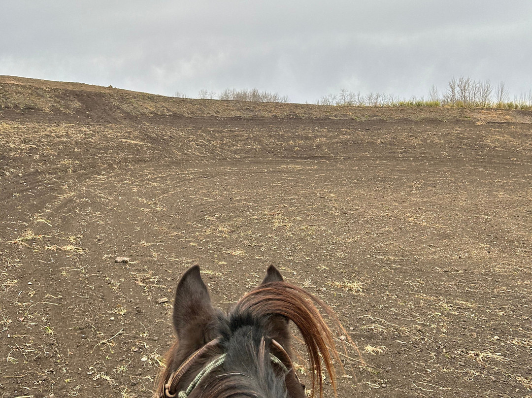 Putting Horse Ranch景点图片