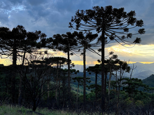Aventoriba-坎普斯－杜若尔当必去景点