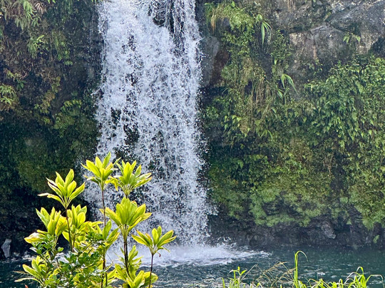 Experience Hawaii Tours-毛伊岛必去景点