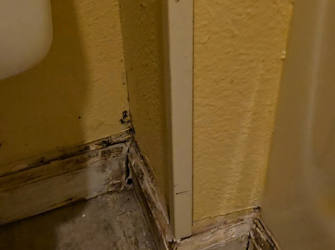 Baymont by Wyndham Springfield主图