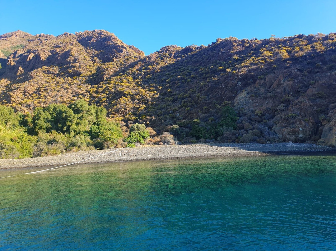 Kamelya Adası (kameriye)景点图片