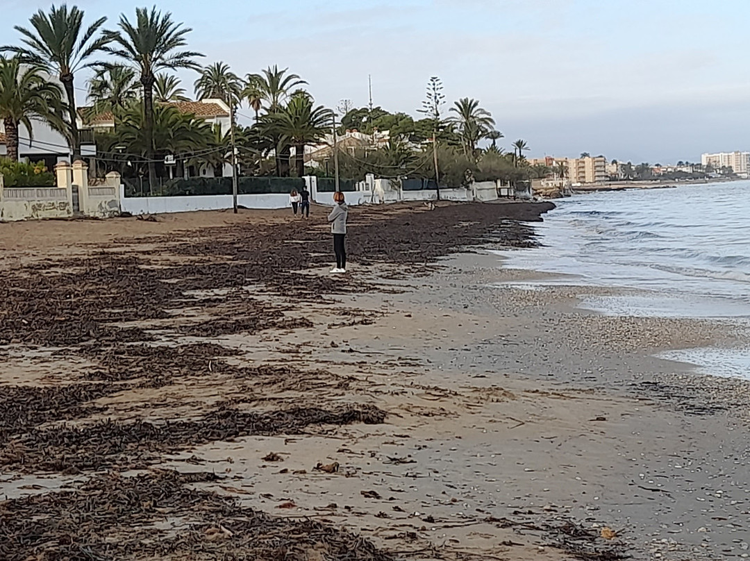 Platja De Les Marinas景点图片
