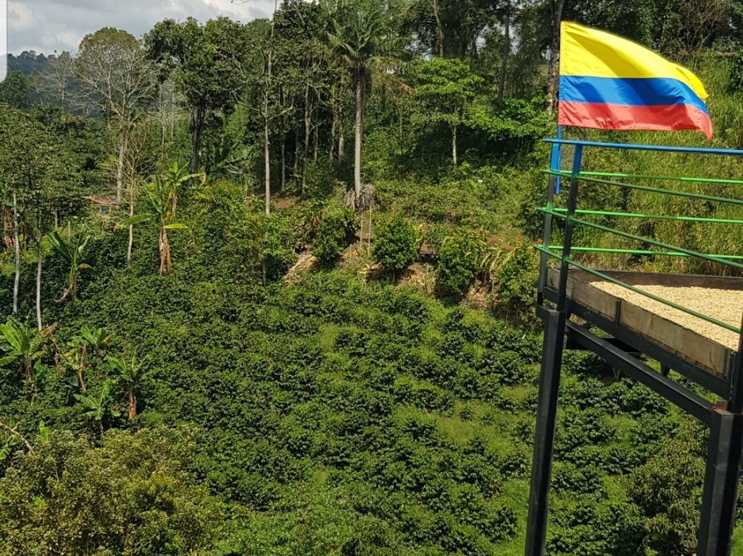 Las Acacias Coffee Farm-萨伦托必去景点