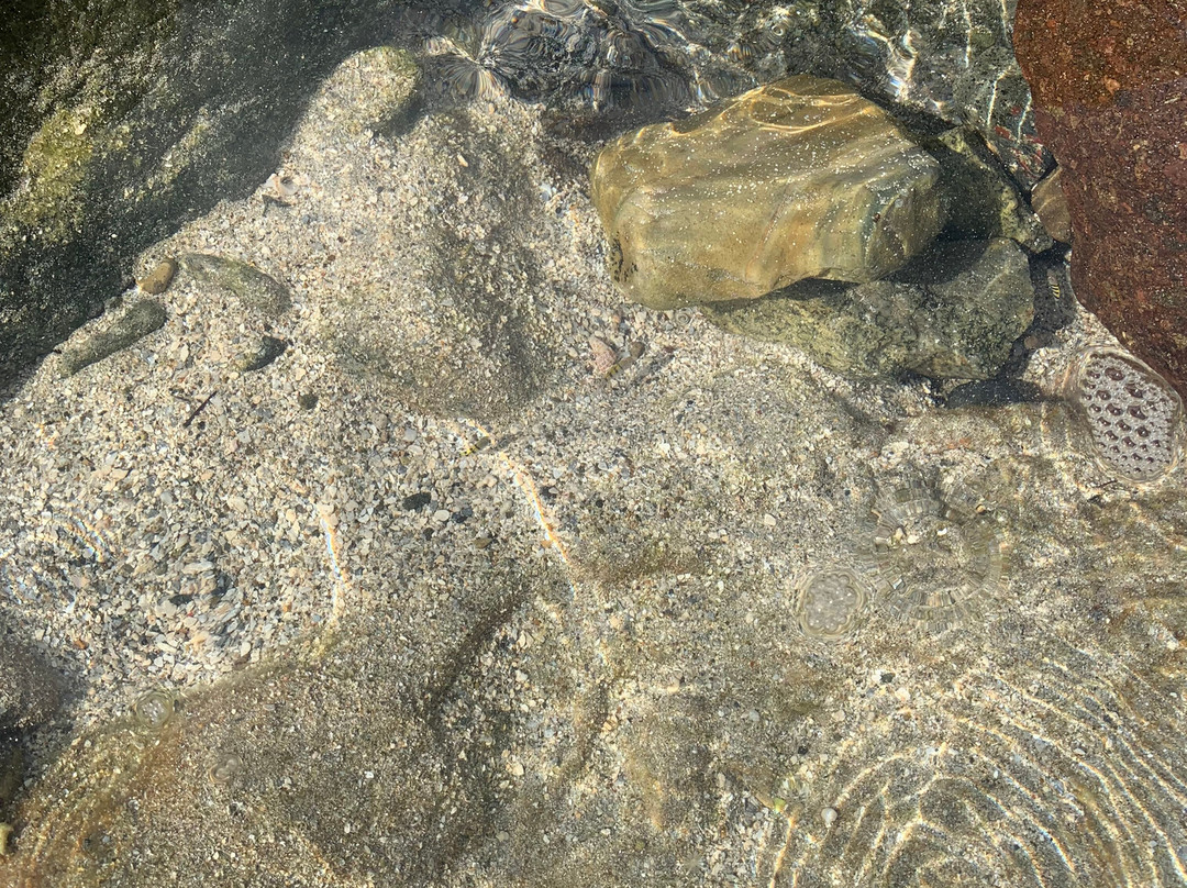 Divi Beach-Sint Maarten必去景点