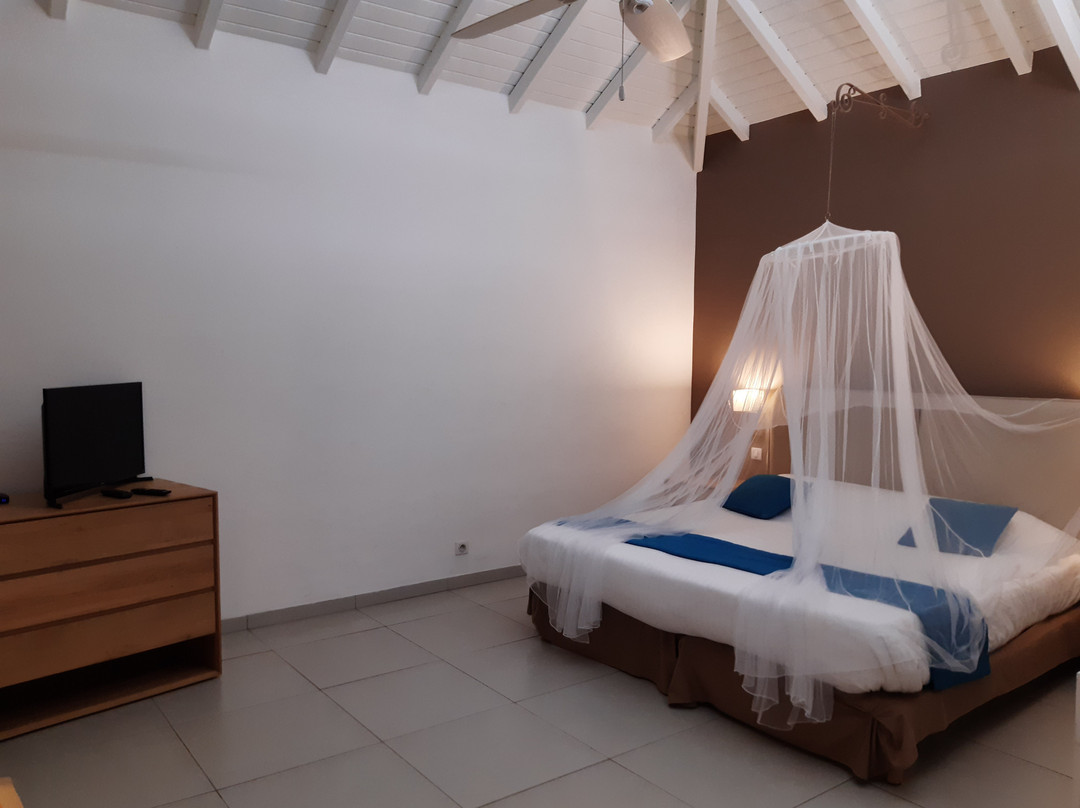 人工林酒店主图