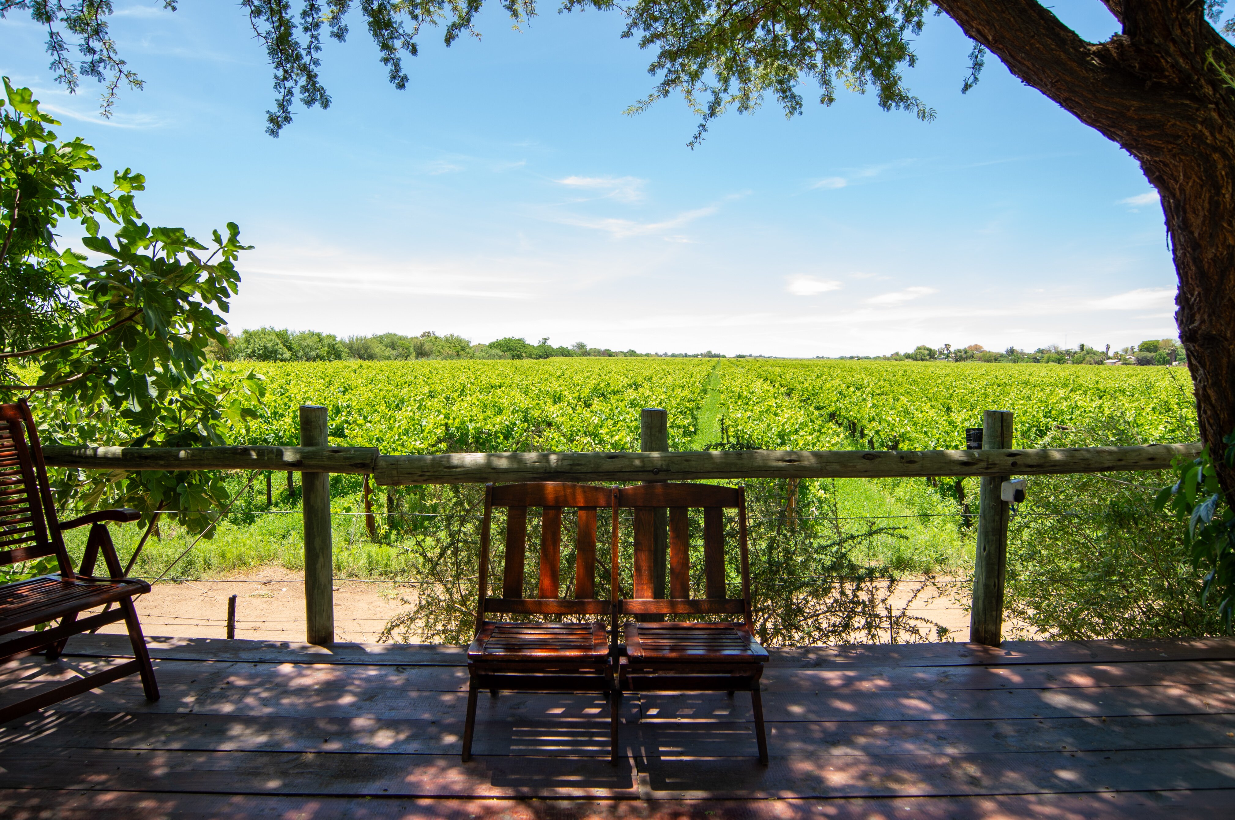 Upington African Vineyard Boutique Hotel & Spa-浴室