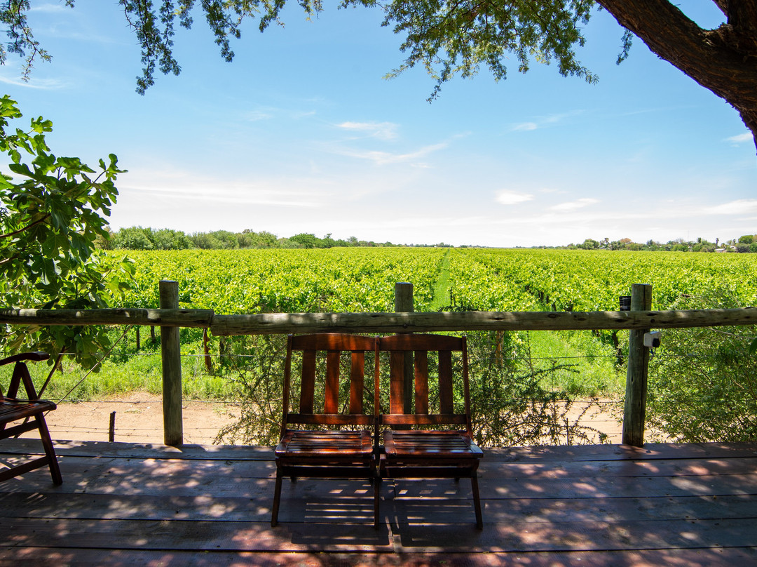 Upington African Vineyard Boutique Hotel & Spa主图