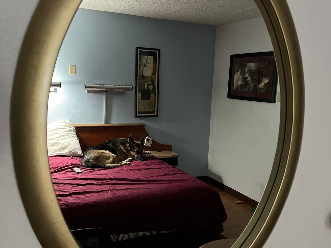 Sycamore Suites主图