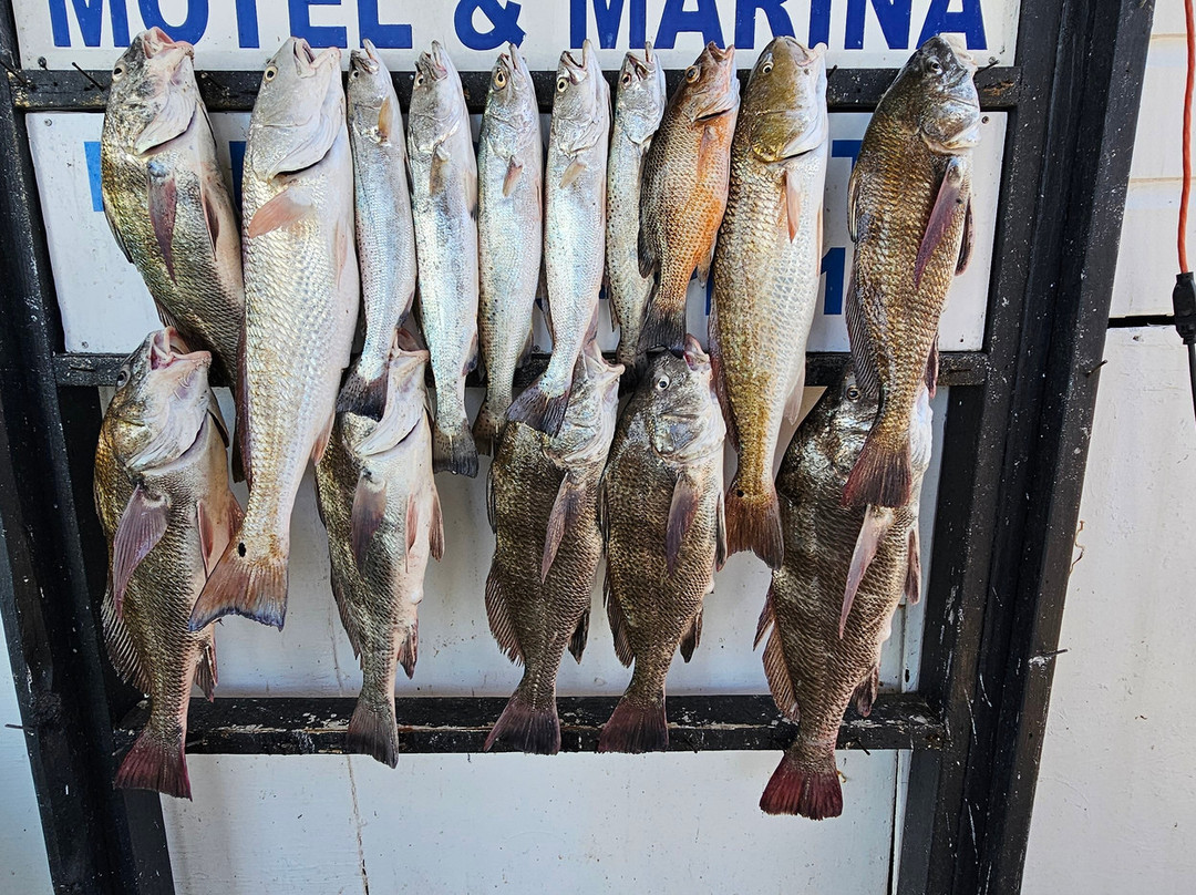 Crystal Flats Guide Service-南帕诸岛必去景点