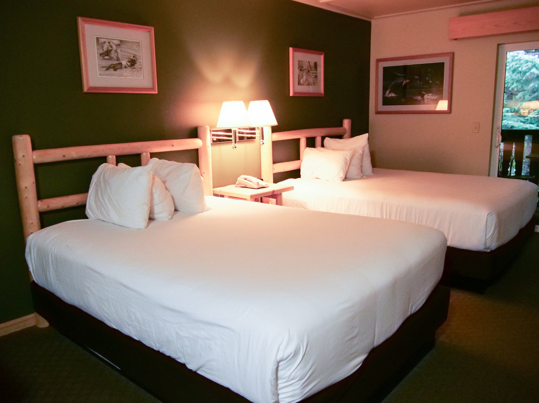 苏华德风歌旅舍主图