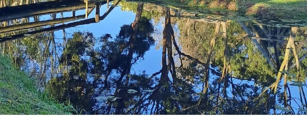 The Burnt Orange @ Global Village