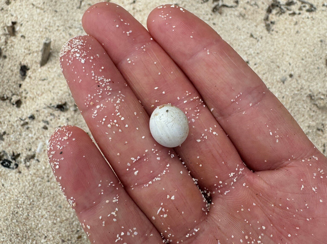 Kai Wai Ocean Sports-纳迪市必去景点