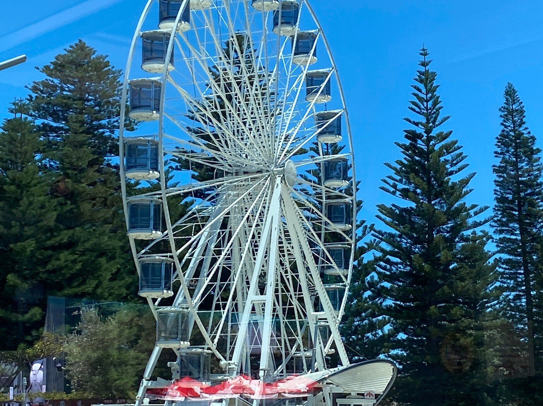 Esplanade Park-弗里曼特尔必去景点